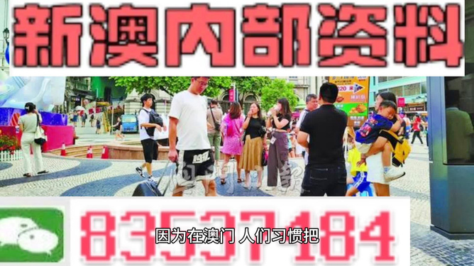 2024澳门精准正版资料大全_全面数据解释落实_模拟版N8.7.48