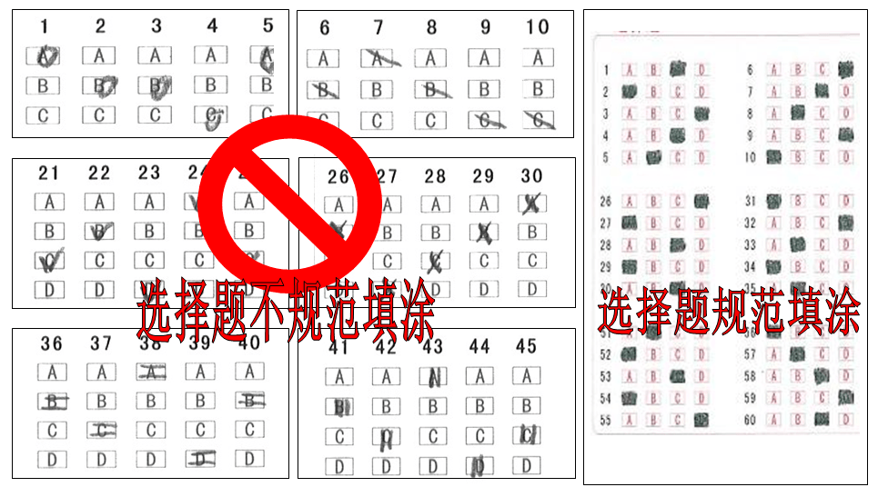 彩库宝典_专业解答实行问题_粉丝版F6.8.6