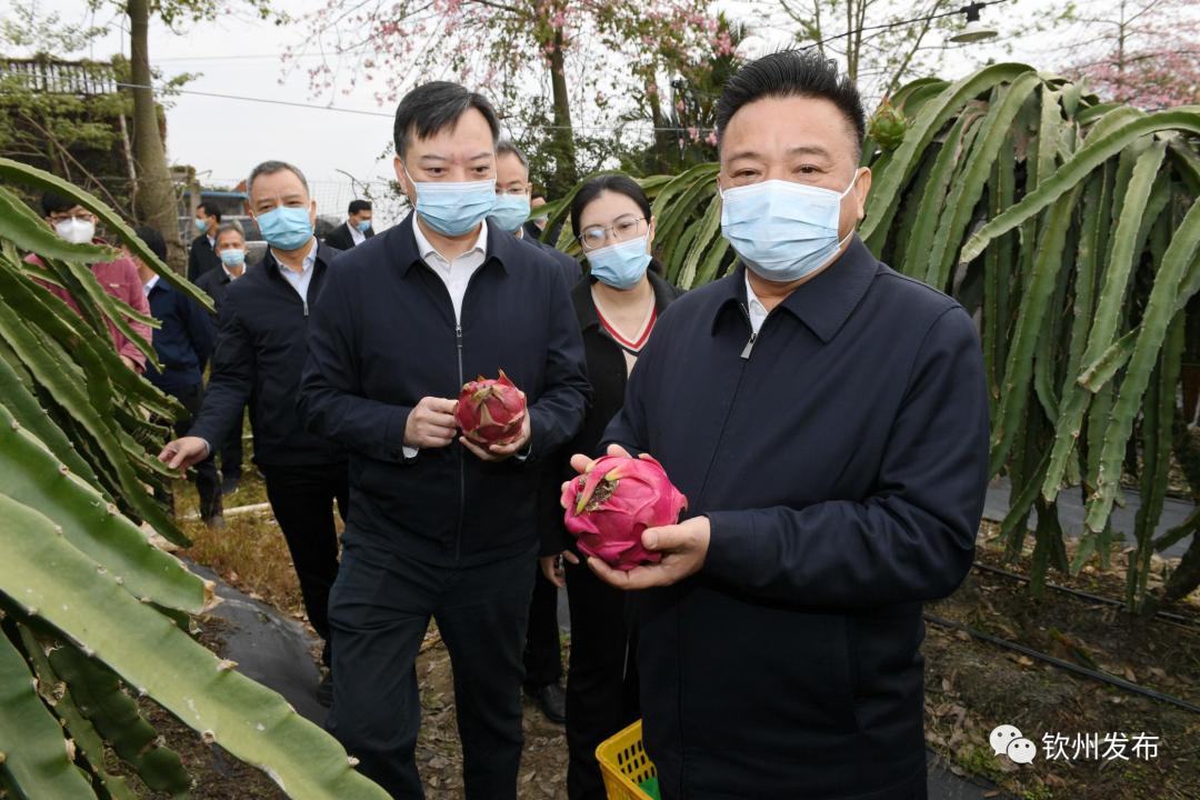 新澳精选资料免费提供,精细解析解答解释问题_鼓励款L45.486