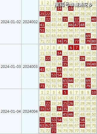 2024天天开好彩大全,实地验证解析数据_实验款R3.907