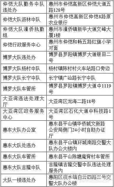 新澳开奖结果记录查询表,详细解答落实机制_延展版J48.490