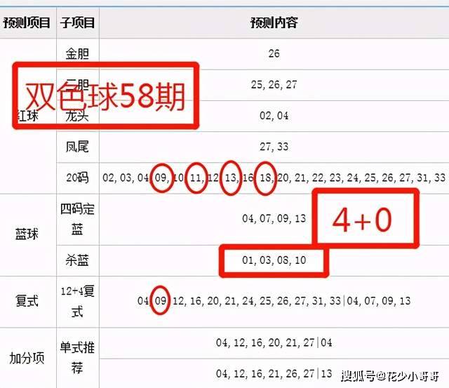 新澳今晚开奖结果查询,专业讲解解答解释方案_扩展版P49.702