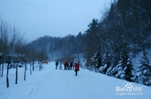 这一次东北的雪适合打雪仗,东北这场雪，雪仗正当时