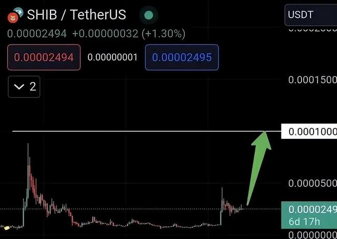 shib币最新价格,SHIB最新行情揭晓,数字货币市场动态更新