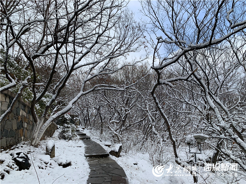 今冬烟台第一场雪来啦,烟台迎来冬季首场雪景