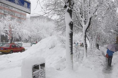 黑龙江鹤岗降雪破纪录,鹤岗冬雪创历史新高