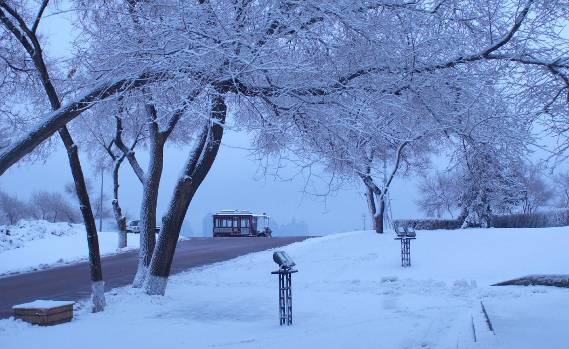 尔滨的雪实在是太美了,哈尔滨的冬季景色无与伦比