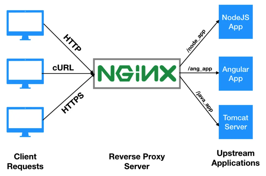 nginx最新版本,Nginx最新版更新