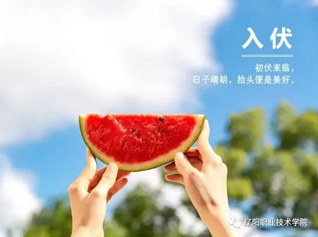 入伏,盛夏伏天正式开启。