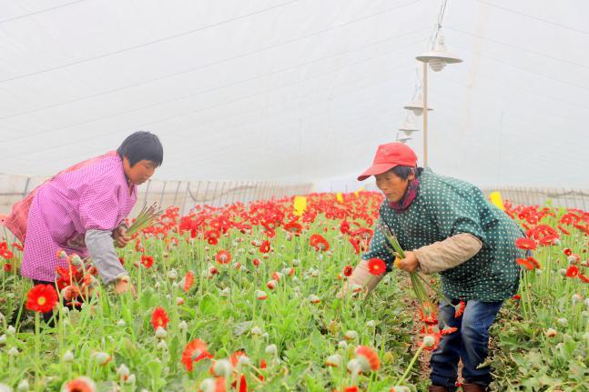 靖江最新招聘,靖江人才市场发布最新一轮精选岗位信息。