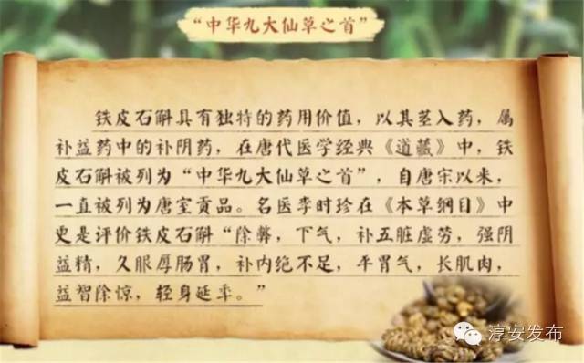 华阳神农丹最新价,“华阳神农丹现售价”