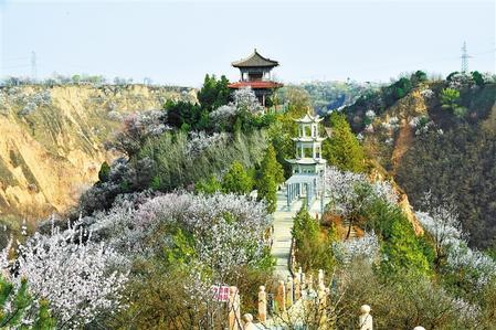 庆阳西峰最新二手房,西峰庆阳最新二手房源