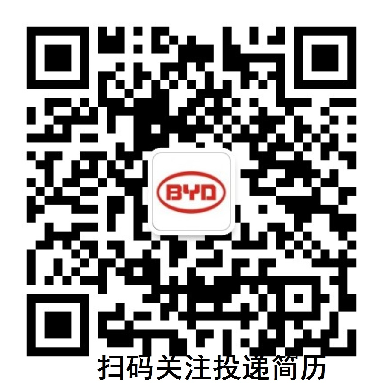 深圳byd最新招聘信息,“比亚迪深圳最新职位招募公告”