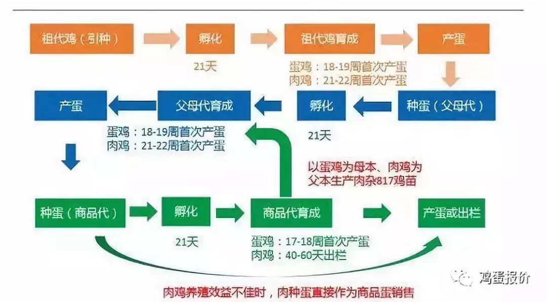 垫江二手房最新消息(垫江二手房资讯速递)