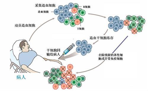 华山神经干细胞最新-华山神经干细胞研究新进展