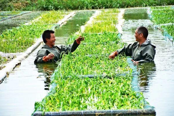 米东区个人房源速售，紧急出手，优质住宅即刻抢购！