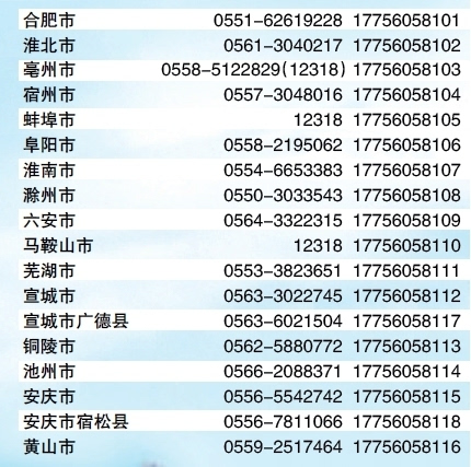 2024全年资料免费大全,最佳实践策略实施_豪华版N9.4.8