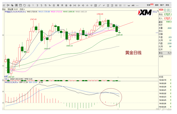 新澳资料免费长期公开吗_高度协调策略执行_黄金版R2.5.5