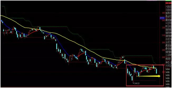 ww4949王中王2024年_可靠数据解释落实_静态版M2.6.8