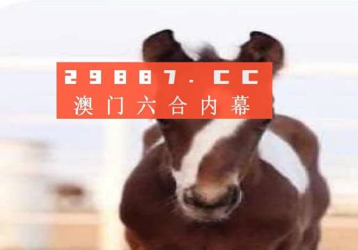 澳门一肖一码一必开一肖_实地研究解释落实_动态版D6.9.3