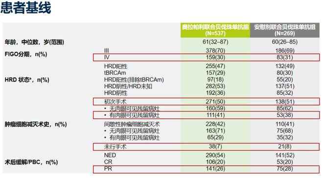 奥门内部最精准免费资料_最新热门解答落实_优选版O5.1.3