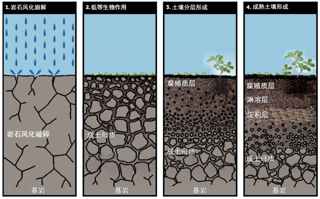 科技 第293页